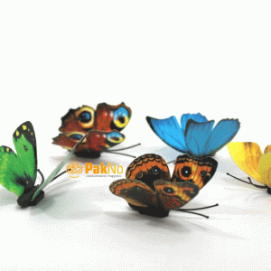 پروانه مگنتی